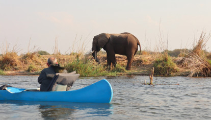 Elefante cerca de los kayaks en el safari fluvial por el río Zambeze
