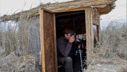 Hides de observación de fauna