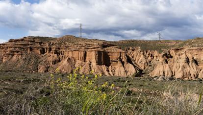 Inusual imagen del desierto de Tabernas en Almería adelantando la floración primaveral gracias a las abundantes lluvias recibidas