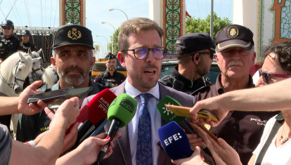 el subdelegado del Gobierno en Sevilla, Francisco Toscano