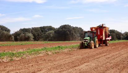 Trabajos con un tractor en el campo