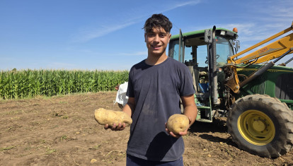 Miguel posa en su campo con patatas de gran tamaño recién cosechadas