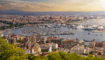 El pleito ha ocurrido en Palma