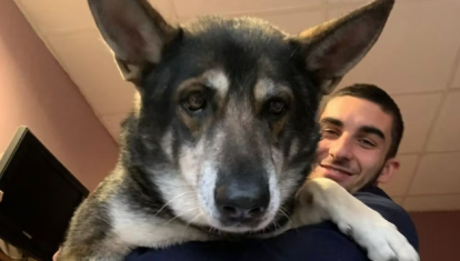 Ferran Torres y uno de sus perros
