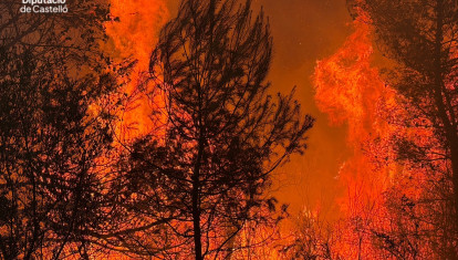 Incendio forestal declarado en la localidad castellonense de la Vall d'Uixó (CAstellón)