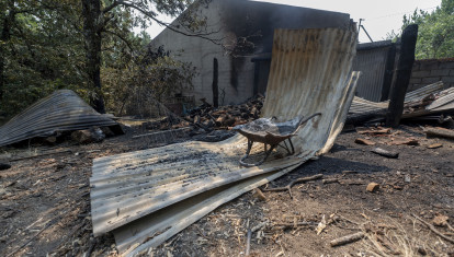 Restos del incendio forestal de Burgohondo (Ávila)