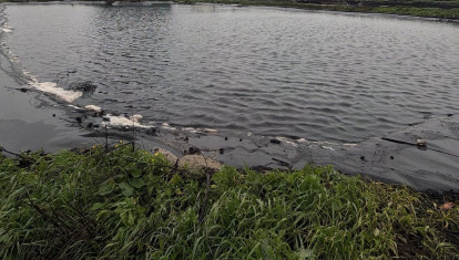 Vertidos de alperujo en Villa del Río