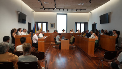 Un momento del pleno celebrado en el Ayuntamiento de Ibiza este martes.