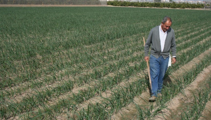 Imagen de recurso de un agricultor.