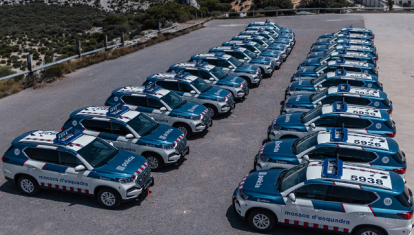 Los vehículos han sido preparados por TSD