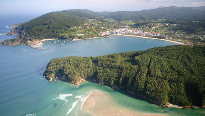 Imagen panorámica de la Playa de la Magdalena (Cedeira)