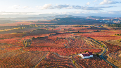 Viñedos de La Rioja en bicicleta