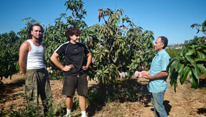 Francisco Ortega, junto con su hijo en la finca donde cultiva mangos