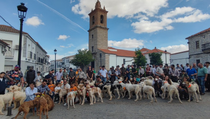 Concentración de rehaleros en Añora (Córdoba)