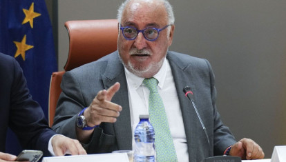 El director general de la DGT en un evento reciente