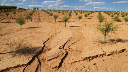 Campos de cultivo del área mediterránea con suelo afectado por la erosión
