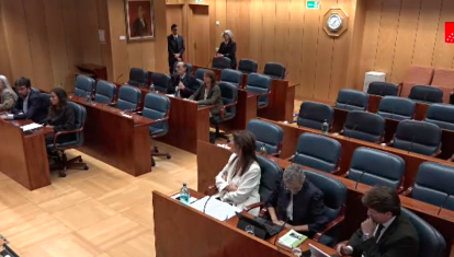 Sesión constitutiva de la comisión de estudio de la ley de nietos en la Asamblea de Madrid