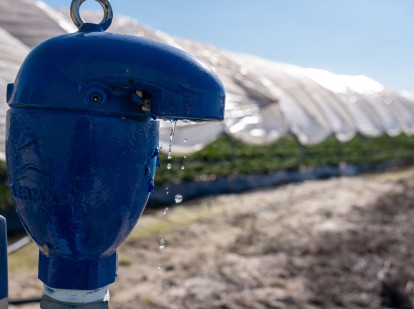 Boca de riego en una finca del cultivo de fresas ubicada en la zona de regadío al norte de la Corona Forestal de Doñana, en Lucena del Puerto (Huelva), en una imagen de archivo