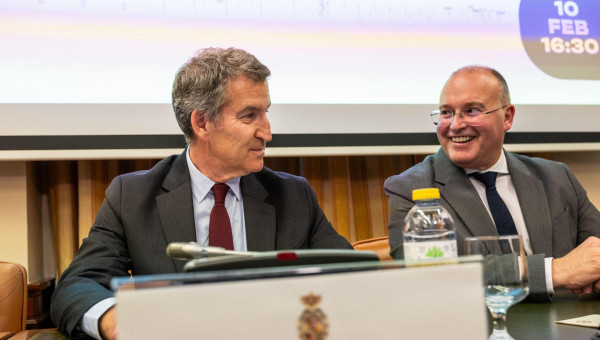 El presidente del Partido Popular, Alberto Núñez Feijóo (i), junto al portavoz de la formación en la Cámara Baja, Miguel Tellado