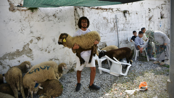 Un hombre con un cordero antes de ser sacrificados durante la Fiesta del Cordero, 'el Eid al Adha', en 2023, en Ceuta (España).