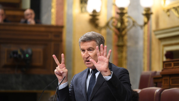 El presidente del PP, Alberto Núñez Feijóo, interviene durante una sesión plenaria,