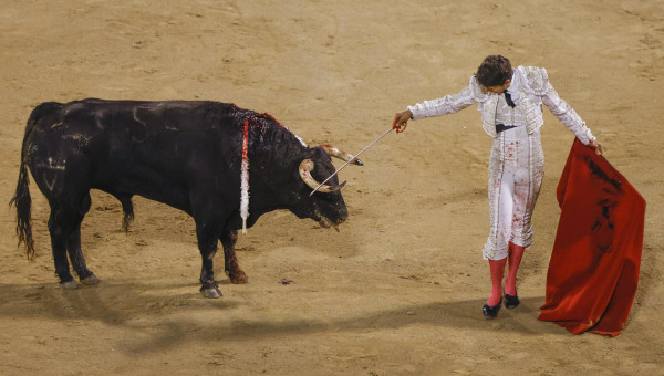 El diestro galo Sebastián Castella con su segundo toro durante el festejo taurino nocturno en Palma de Mallorca
