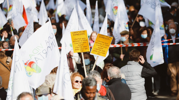 Manifestación provida en Madrid, este mes de noviembre