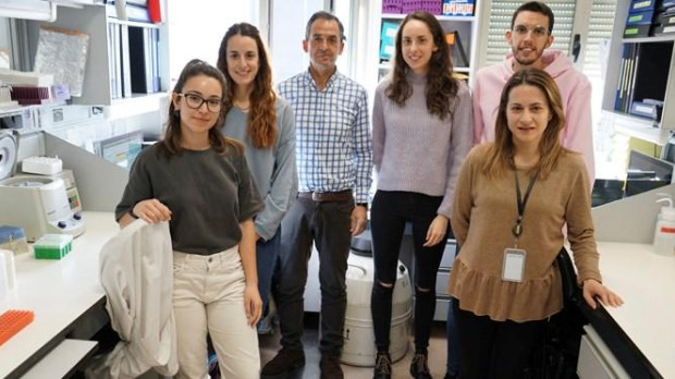 Investigadores del Centro de Investigación del Cáncer