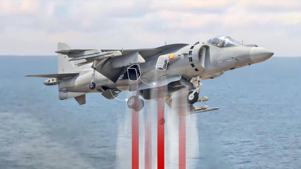 harrier  PORTADA