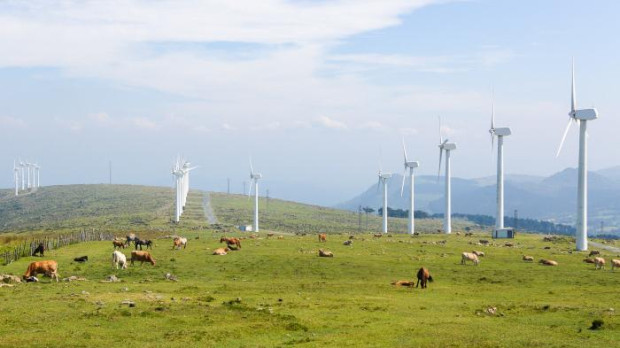 Molinos de viento en un prado en Galicia