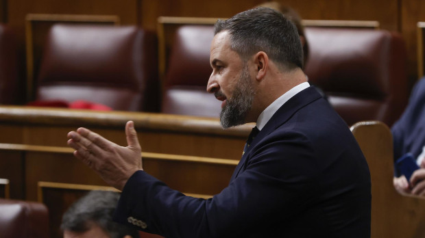 Santiago Abascal, durante su intervención del pasado martes en la Cámara Baja