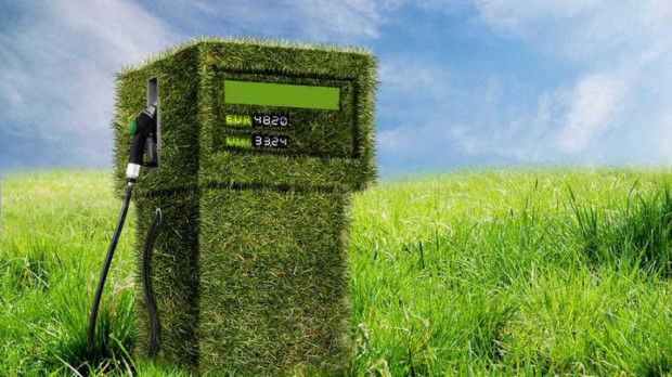 Los combustibles verdes no son tan ecológicos como parecen