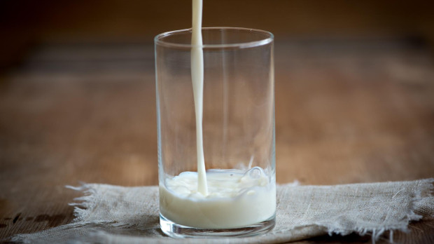 La leche es fuente fundamental de proteínas