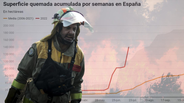 Los datos de los incendios en España