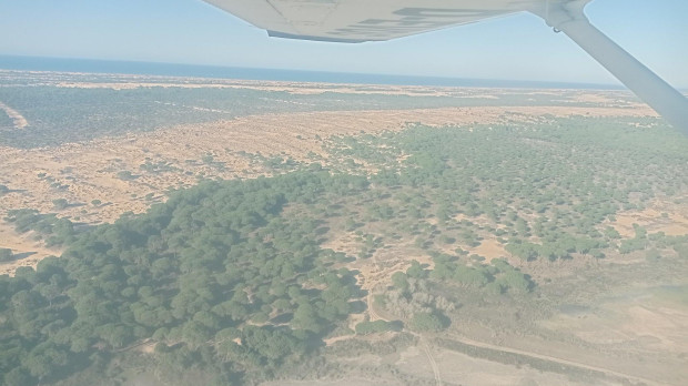 Imágenes de Doñana desde el aire donde se puede apreciar la fuerte sequía