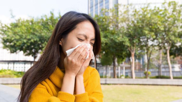 La alergia a las gramíneas puede durar todo el año