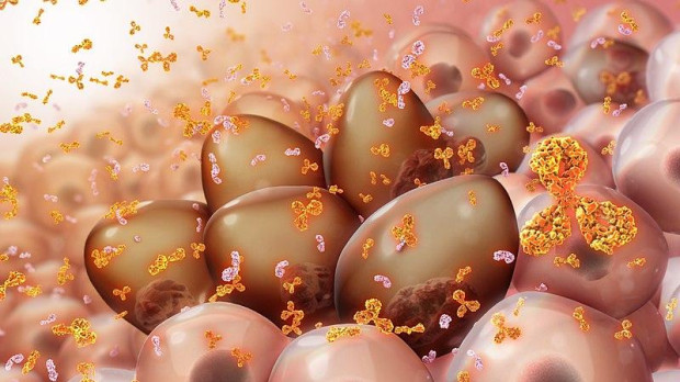 Las células de mieloma que producen proteínas monoclonales de diversos tipos