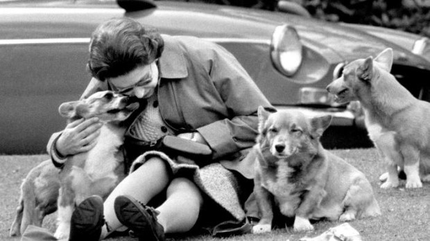 La reina Isabel II con varios de sus corgis, en mayo de 1973