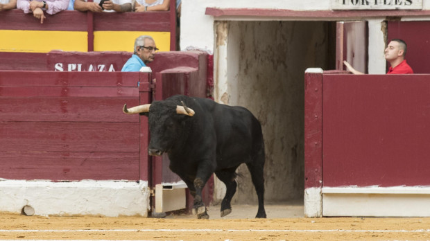 Plaza de toros de Murcia