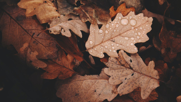 Otoño