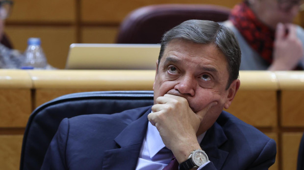 El ministro de Agricultura, Pesca, Alimentación y Medio Ambiente, Luis Planas.