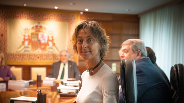 La magistrada del Tribunal Constitucional Laura Díez Bueso asiste al primer Pleno jurisdiccional de la institución