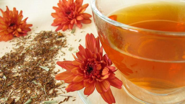 Infusión Rooibos, perfecta para hidratar el organismo
