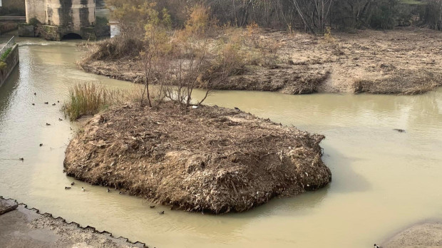 Imagen del islote de toallitas en la zona de los Sotos de la Albolafia.