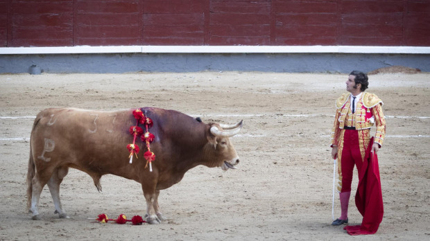 Morante de la Puebla en la corrida de la Beneficencia 2022