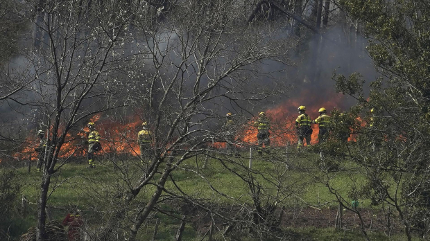El trabajo de los bomberos contra los incendios en Asturias