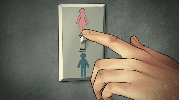 Ilustración: ley trans, cambio de sexo