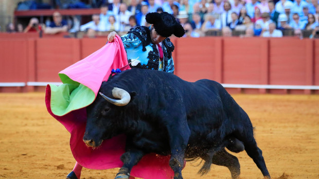 El torero Morante de la Puebla en la faena a su segundo toro al que cortó dos orejas y rabo