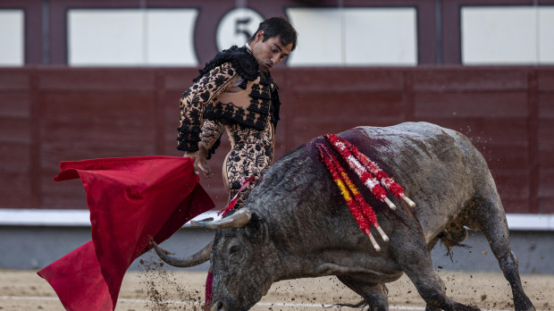 El tercer toro de la corrida de José Escolar fue premiado con la vuelta al ruedo