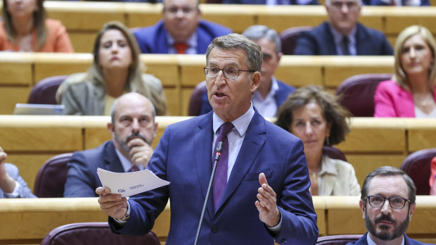 Alberto Núñez Feijóo, este martes en el Senado